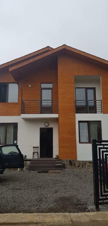 N1 Cottage In Bakuriani Bagian luar foto